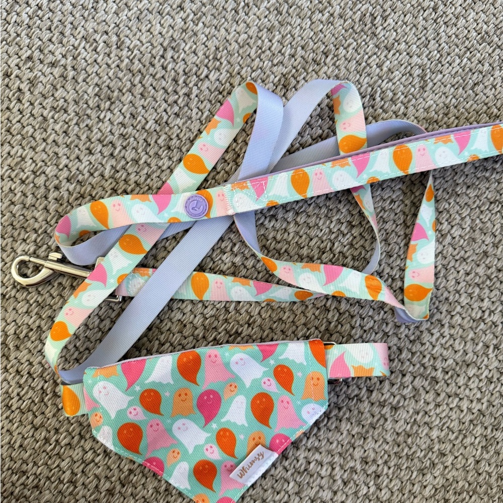 Whisker City Ghost Print Pet Leash and Harness
